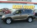 Pyrite Metallic - RAV4 I4 4WD Photo No. 3
