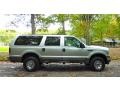 Silver Birch Metallic 2003 Ford Excursion XLT 4x4 Exterior