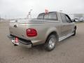 2001 Arizona Beige Metallic Ford F150 XLT SuperCrew  photo #3