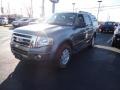 2012 Sterling Gray Metallic Ford Expedition XLT 4x4  photo #1