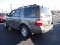 2012 Sterling Gray Metallic Ford Expedition XLT 4x4  photo #3