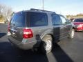 2012 Sterling Gray Metallic Ford Expedition XLT 4x4  photo #5