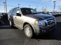 2012 Sterling Gray Metallic Ford Expedition XLT 4x4  photo #7