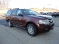 Autumn Red Metallic - Expedition XLT 4x4 Photo No. 7