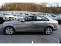 Palladium Silver Metallic - C 300 4Matic Photo No. 3
