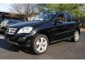 Black - ML 350 4Matic Photo No. 1