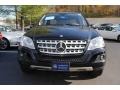Black - ML 350 4Matic Photo No. 2