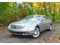 2006 Pewter Metallic Mercedes-Benz CLS 500  photo #3