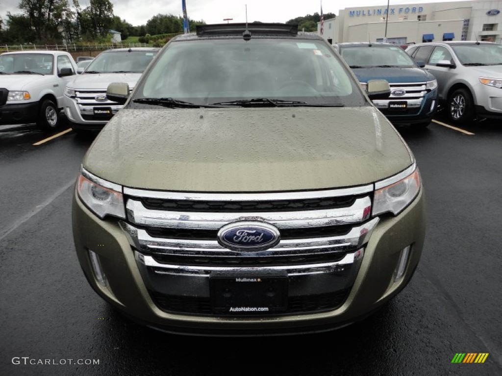 Ginger Ale Metallic 2012 Ford Edge SEL Exterior Photo #57327877