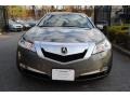 Polished Metal Metallic - TL 3.5 Photo No. 2