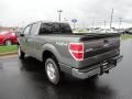 Sterling Grey Metallic - F150 XLT SuperCab 4x4 Photo No. 3