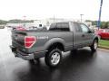 2011 Sterling Grey Metallic Ford F150 XLT SuperCab 4x4  photo #5