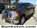 2011 Golden Bronze Metallic Ford F150 XLT SuperCrew  photo #1