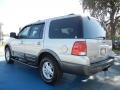 2004 Silver Birch Metallic Ford Expedition XLT  photo #3