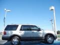 2004 Silver Birch Metallic Ford Expedition XLT  photo #6