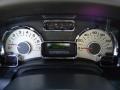 Charcoal Black/Camel Gauges Photo for 2010 Ford Expedition #57330607