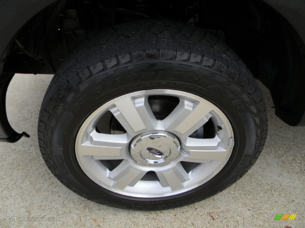 2006 F150 FX4 SuperCrew 4x4 - Dark Shadow Grey Metallic / Medium/Dark Flint photo #6