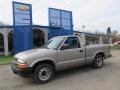 Light Pewter Metallic 2002 Chevrolet S10 Regular Cab
