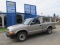 2002 Light Pewter Metallic Chevrolet S10 Regular Cab  photo #1