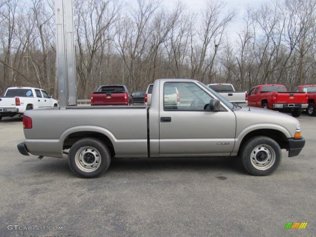 Light Pewter Metallic 2002 Chevrolet S10 Regular Cab Exterior Photo #57335826