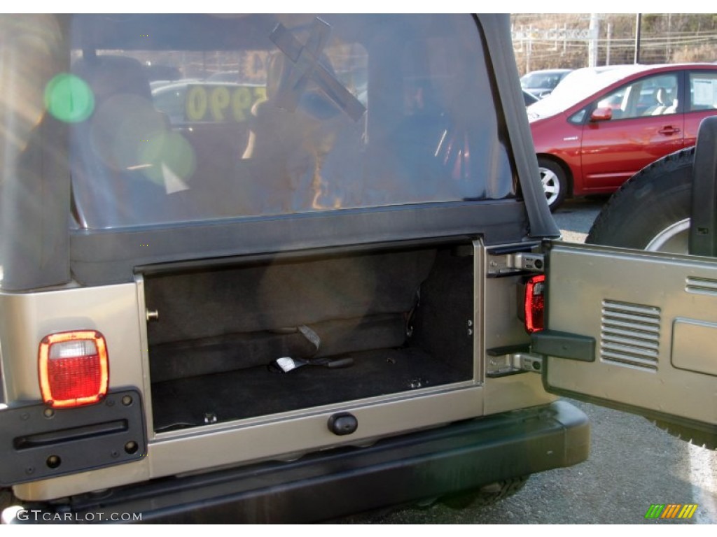 2004 Wrangler Sport 4x4 - Light Khaki Metallic / Dark Slate Gray photo #9