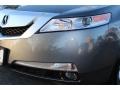 Polished Metal Metallic - TL 3.5 Technology Photo No. 28