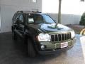 Jeep Green Metallic - Grand Cherokee Laredo Photo No. 3