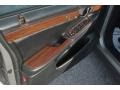 Light Platinum - DeVille Sedan Photo No. 35