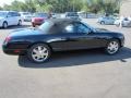 Evening Black 2002 Ford Thunderbird Premium Roadster Exterior