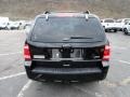 2012 Ebony Black Ford Escape XLT V6 4WD  photo #3