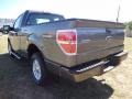 2011 Sterling Grey Metallic Ford F150 STX Regular Cab  photo #6