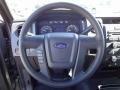 2011 Sterling Grey Metallic Ford F150 STX Regular Cab  photo #17