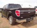 2011 Ebony Black Ford F150 XLT SuperCrew  photo #5