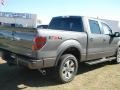 2011 Sterling Grey Metallic Ford F150 FX4 SuperCrew 4x4  photo #7