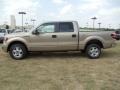 2011 Pale Adobe Metallic Ford F150 XLT SuperCrew  photo #4