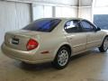 Sunlit Sand Metallic - Maxima GLE Photo No. 4