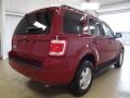 2010 Sangria Red Metallic Ford Escape XLT  photo #4