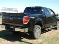 2011 Ebony Black Ford F150 XLT SuperCrew 4x4  photo #4