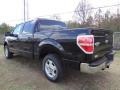 2011 Ebony Black Ford F150 XLT SuperCrew  photo #5