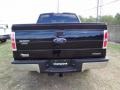 Ebony Black - F150 XLT SuperCrew Photo No. 6