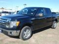 2011 Ebony Black Ford F150 XLT SuperCrew  photo #3