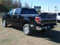 2011 Ebony Black Ford F150 XLT SuperCrew  photo #5