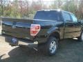2011 Ebony Black Ford F150 XLT SuperCrew  photo #7