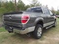 Sterling Grey Metallic - F150 XLT SuperCrew 4x4 Photo No. 6