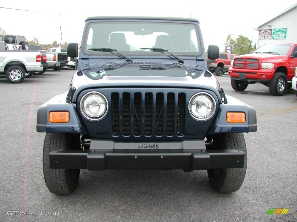 2004 Wrangler X 4x4 - Patriot Blue Pearl / Dark Slate Gray photo #17