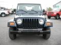Patriot Blue Pearl - Wrangler X 4x4 Photo No. 17