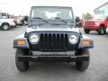 2004 Patriot Blue Pearl Jeep Wrangler X 4x4  photo #17