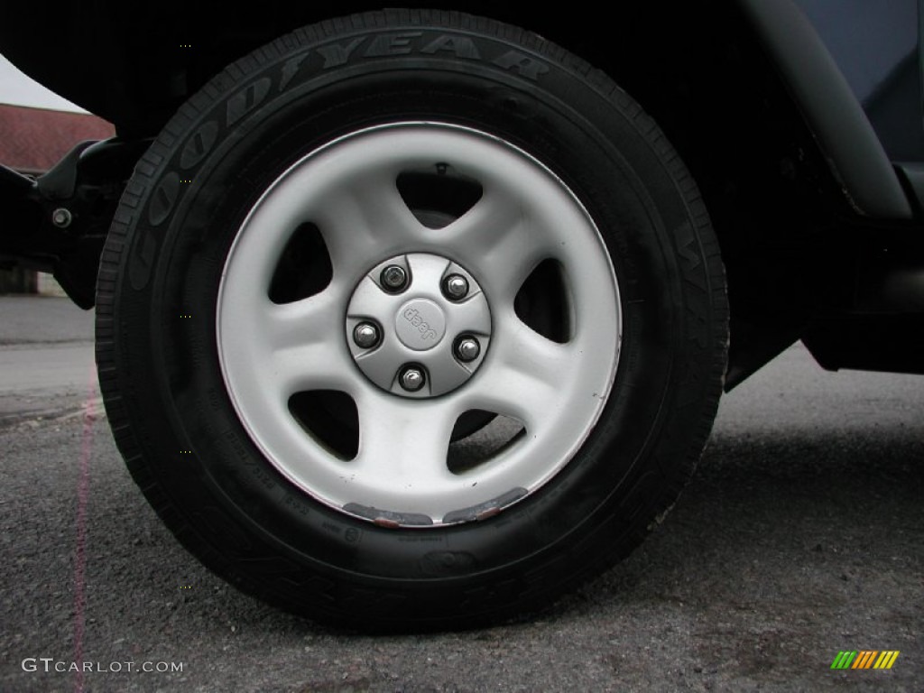 2004 Wrangler X 4x4 - Patriot Blue Pearl / Dark Slate Gray photo #19