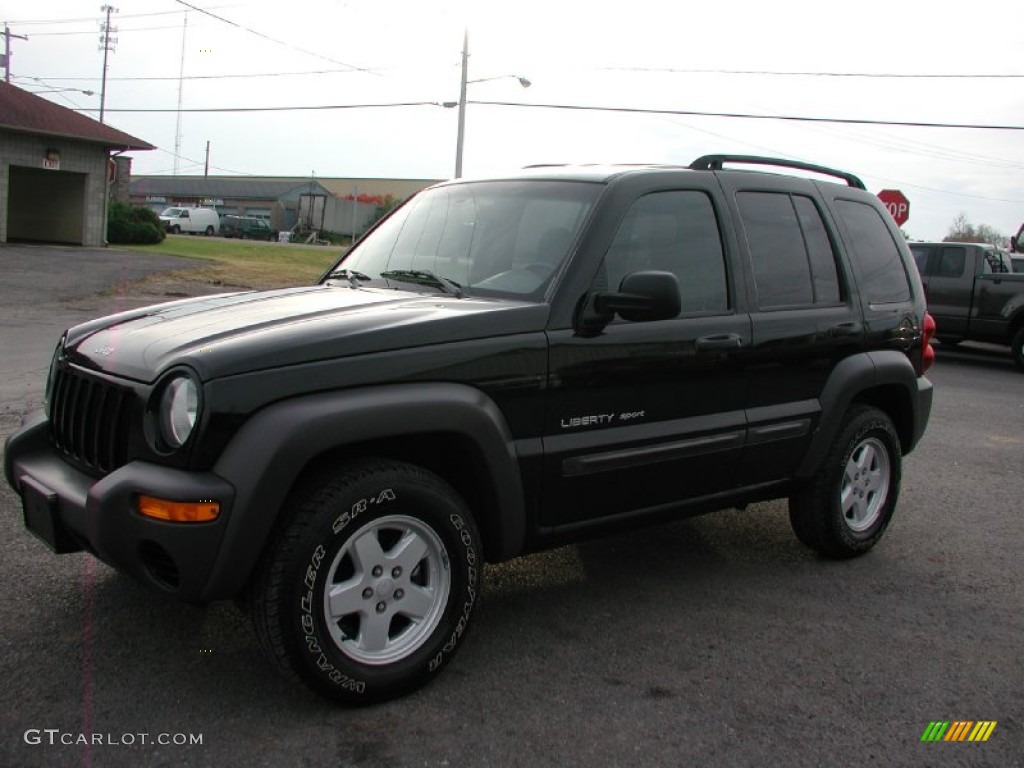 Black Clearcoat Jeep Liberty