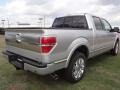 2011 Ingot Silver Metallic Ford F150 Platinum SuperCrew  photo #8